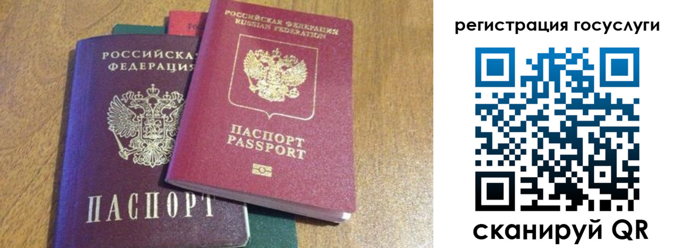 временная регистрация поиск в Королёве